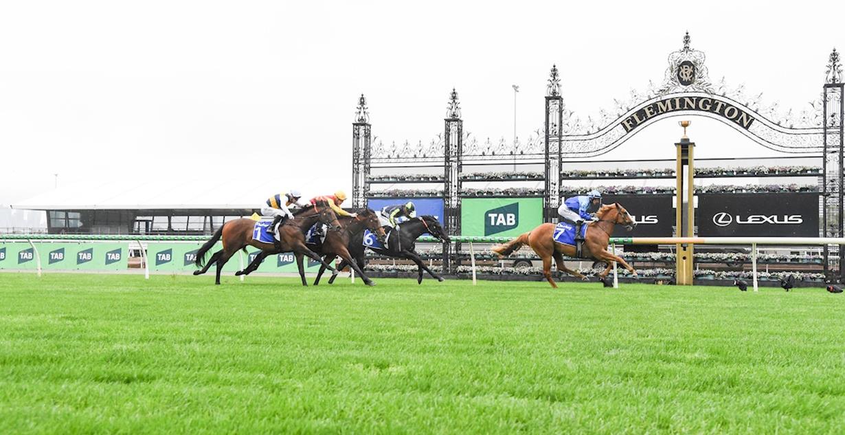Musandam - Flemington 3rd October 2026 (Listed Maribyrnong Trial Stakes)